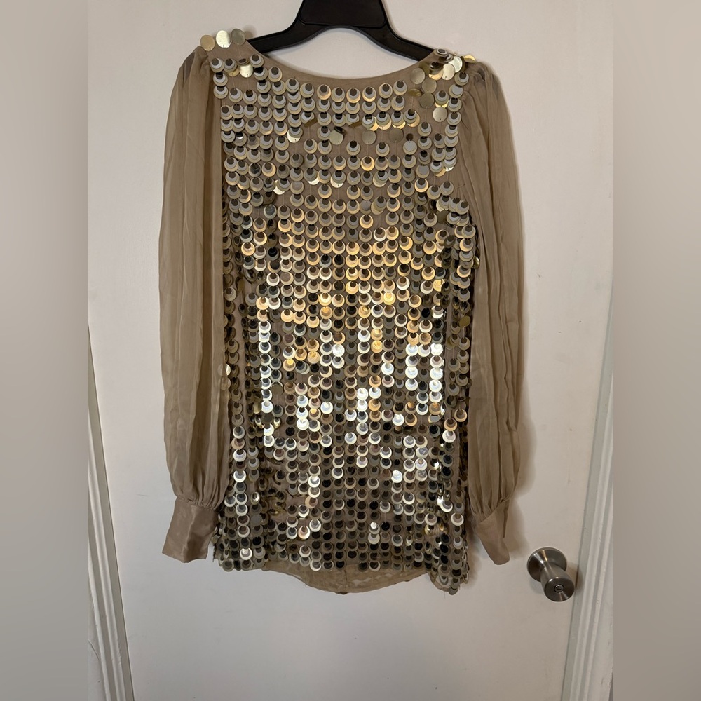 Sequined Mini Dress with Chiffon Sleeves (Size 6)